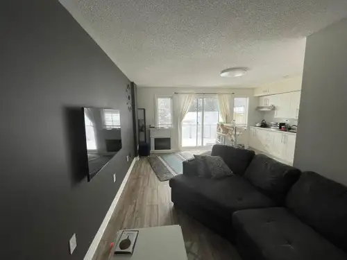 Spacious, two-floor basement apartment with an open-concept design, backing onto a peaceful park. Fe...