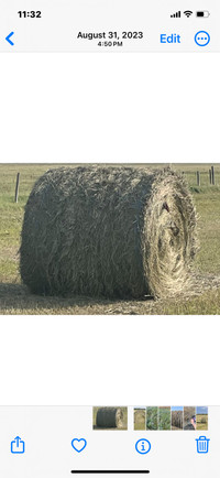 Hay for sale east of Stettler. 