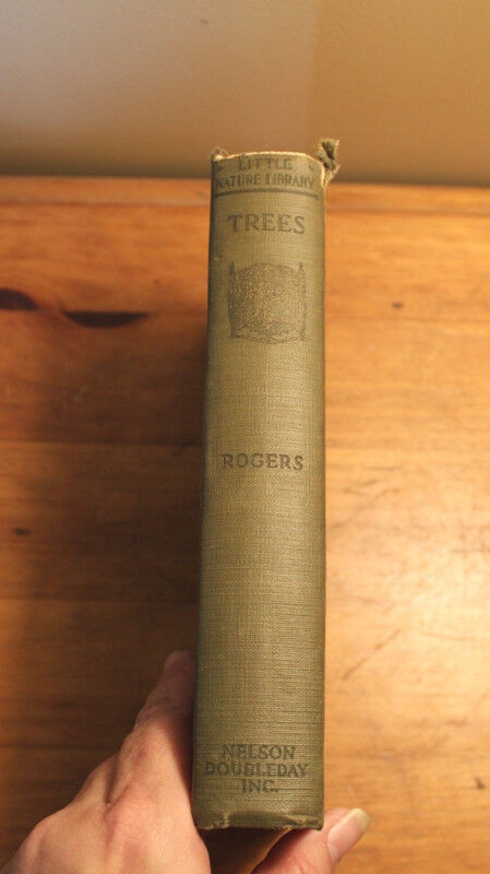 Trees Worth Knowing By Julia Ellen Rogers 1925 in Non-fiction in London - Image 2
