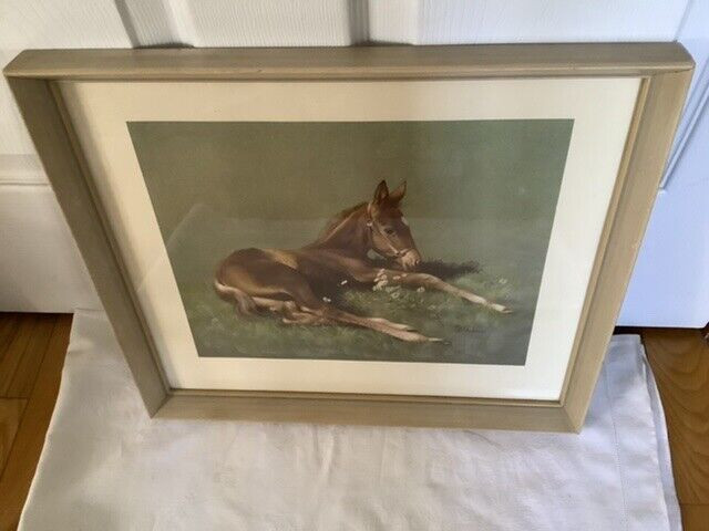 Vtg Colt Print (part of Colts & Champions series) C.W. Anderson in Arts & Collectibles in Belleville