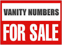 Vanity Phone Numbers GTA - 4378888185, 4378888827, 2498888678