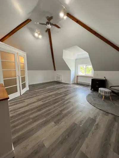 RARE FIND   Lg.  Upper 1 bdrm Apt. Central St Thomas  2 floors !