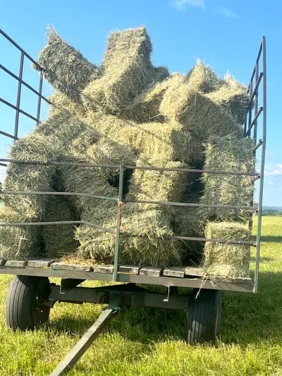 Small square bales of hay, View more