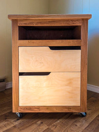Handcrafted rolling storage cabinet 
