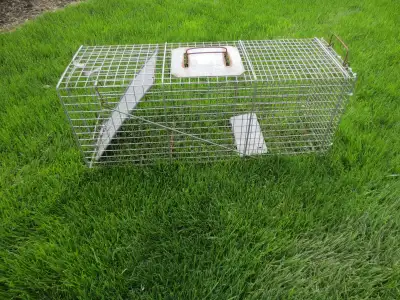 Extra-Large Humane Live Animal Trap, View more