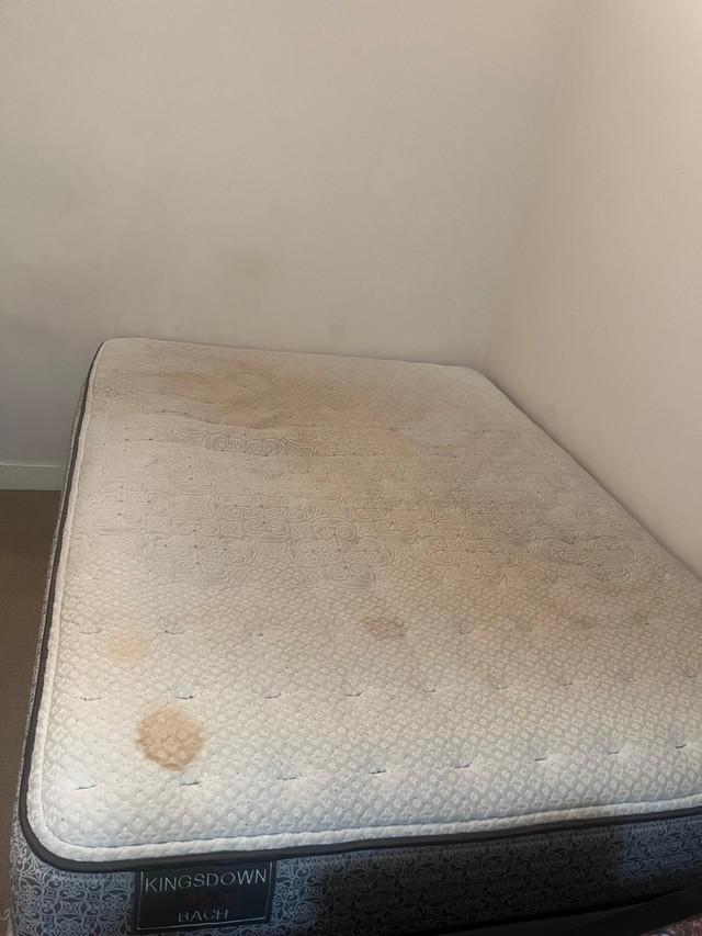 Kingsdown Queen Mattress, Boxspring & Frame: $50 OBO in Beds & Mattresses in UBC - Image 3
