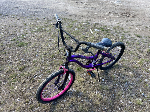 Girls bike 20” (age 10-12) in Kids in Peterborough - Image 2