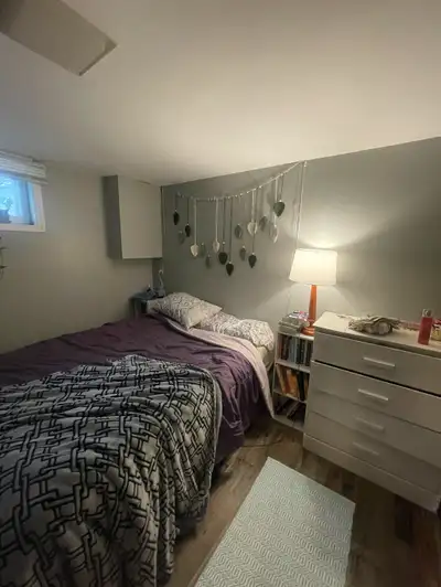 1 bedroom apartment for rent