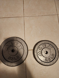 35lbs and 25lbs weights for sale