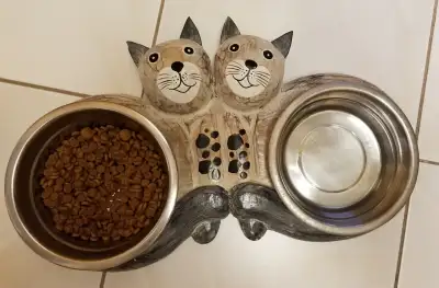 Decorative Pet Food Bowls For Sale, View more