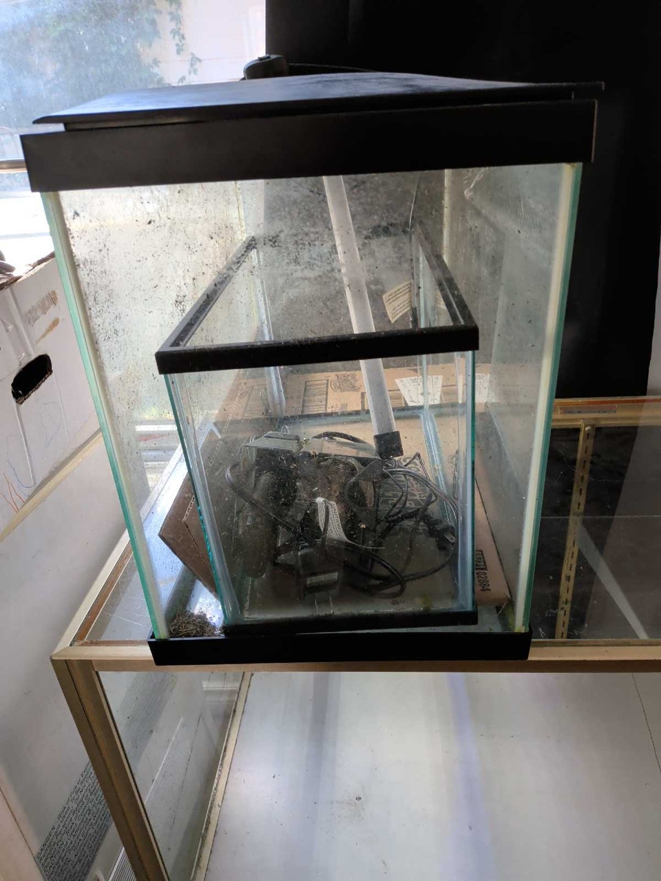 Fish Tanks & Equipment Need Gone Today | Fish for Rehoming | London ...
