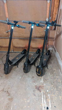 NineBot Scooters For Rent