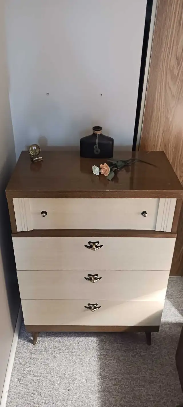 Very Cool Retro Tallboy Dresser - Free City Delivery! in Dressers & Wardrobes in Kingston - Image 2