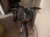 Raleigh in Summit, Male Adult Full size 18 Speed Grip Shift 