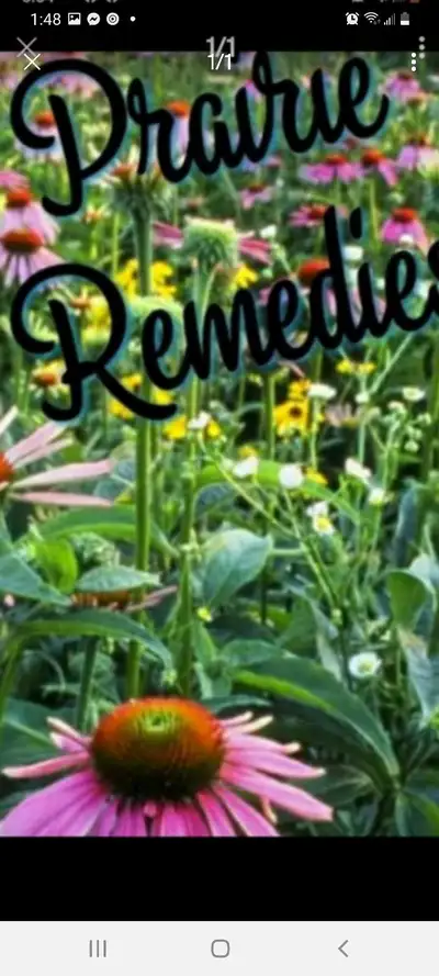 herbal regimens, View more