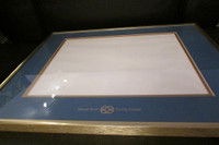 professional diploma/picture frame