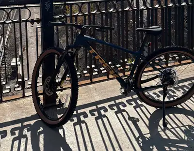 Stolen Trek mountain Bike - $150 for the founder!, View more