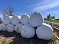 Large round bales of hay