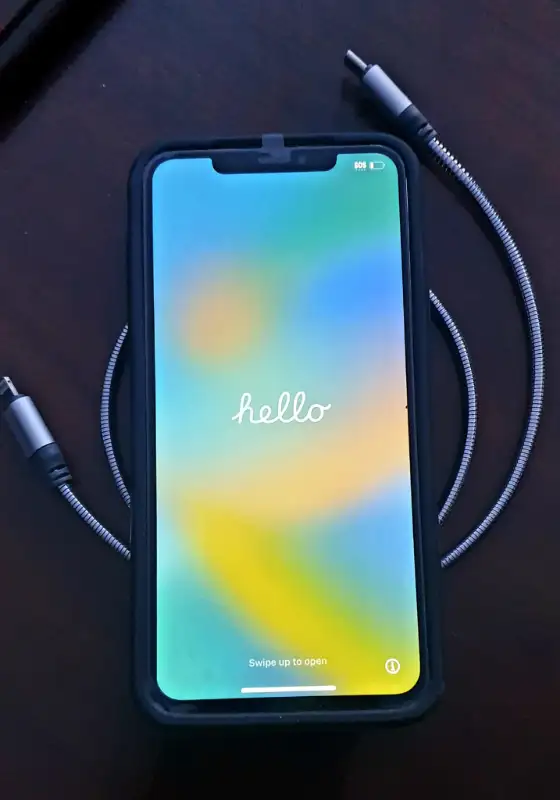 REDUCED - MINT Condition iPhone XS MAX62863738870274123