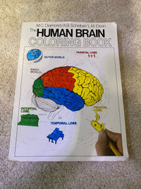 Free: The Human Brain colouring book