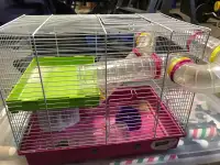 Hamster/gerbil/ mouse cage