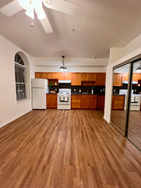 Beautiful Newly Renovated 1BR Unit Available in SENIORS building