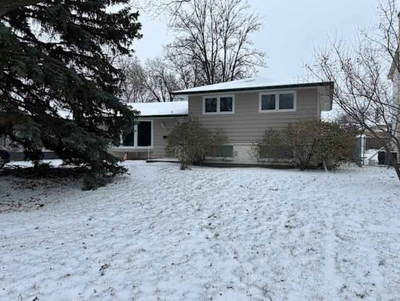 Room for Rent in a Large - Close to the U of M house (2700 square feet) with one room for rent. Hous...