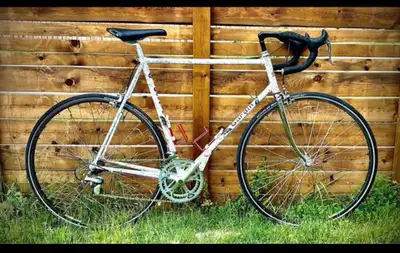 90s era Gardin Bike, View more