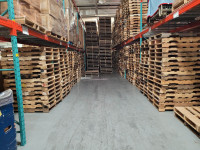 gently used wood and plastic pallets for sale in stock indoors