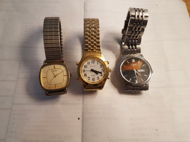 Men's Wrist Watches, Citizen, SEIKO, TALKING WATCH in Jewellery & Watches in Moncton