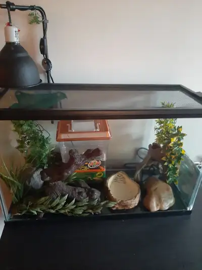 Reptile Aquarium Pet Cage, View more