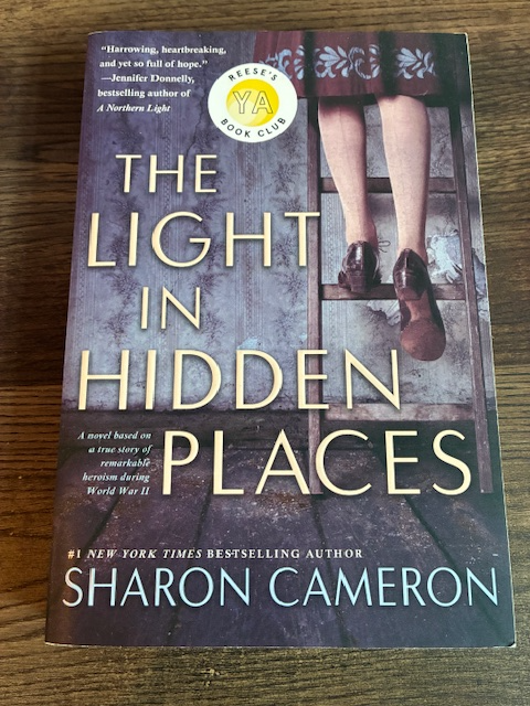 the Light in Hidden Places in Fiction in City of Toronto - Image 2