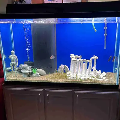 Taking any fish , View more