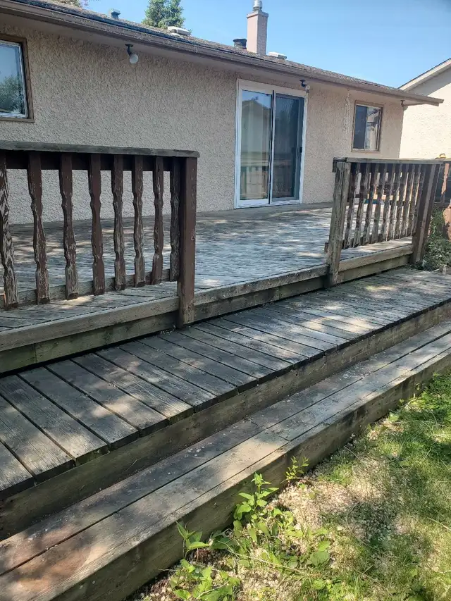 Pro painter62863221540993124