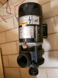 Spa and Jacuzzi pump. 1 hp.