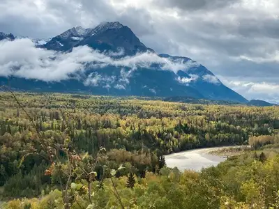 Homesite for Tiny House, site with a great view on 20 acres, 10 minutes outside of Hazelton, BC. Off...