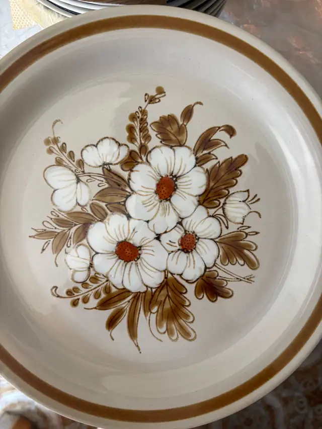 Vintage Mountain Wood Dinner Plates63373409448961121