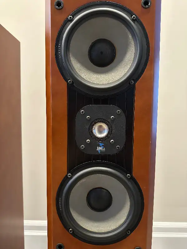 Speaker in Speakers in Markham / York Region - Image 5