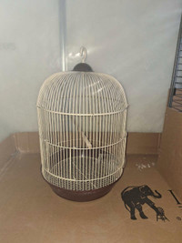 Cages for birds and Small animal