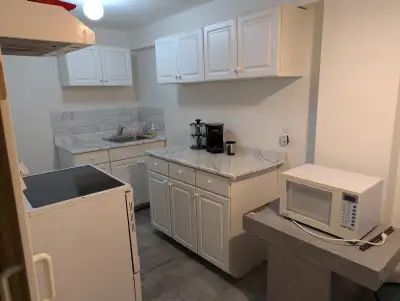 Basement - BATHURST/STEELES