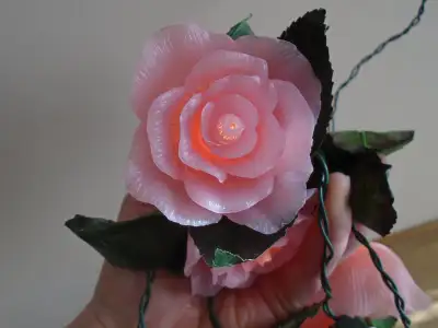 Pink Rose Lights 2 sets $30. each - with 10 roses in e, View more