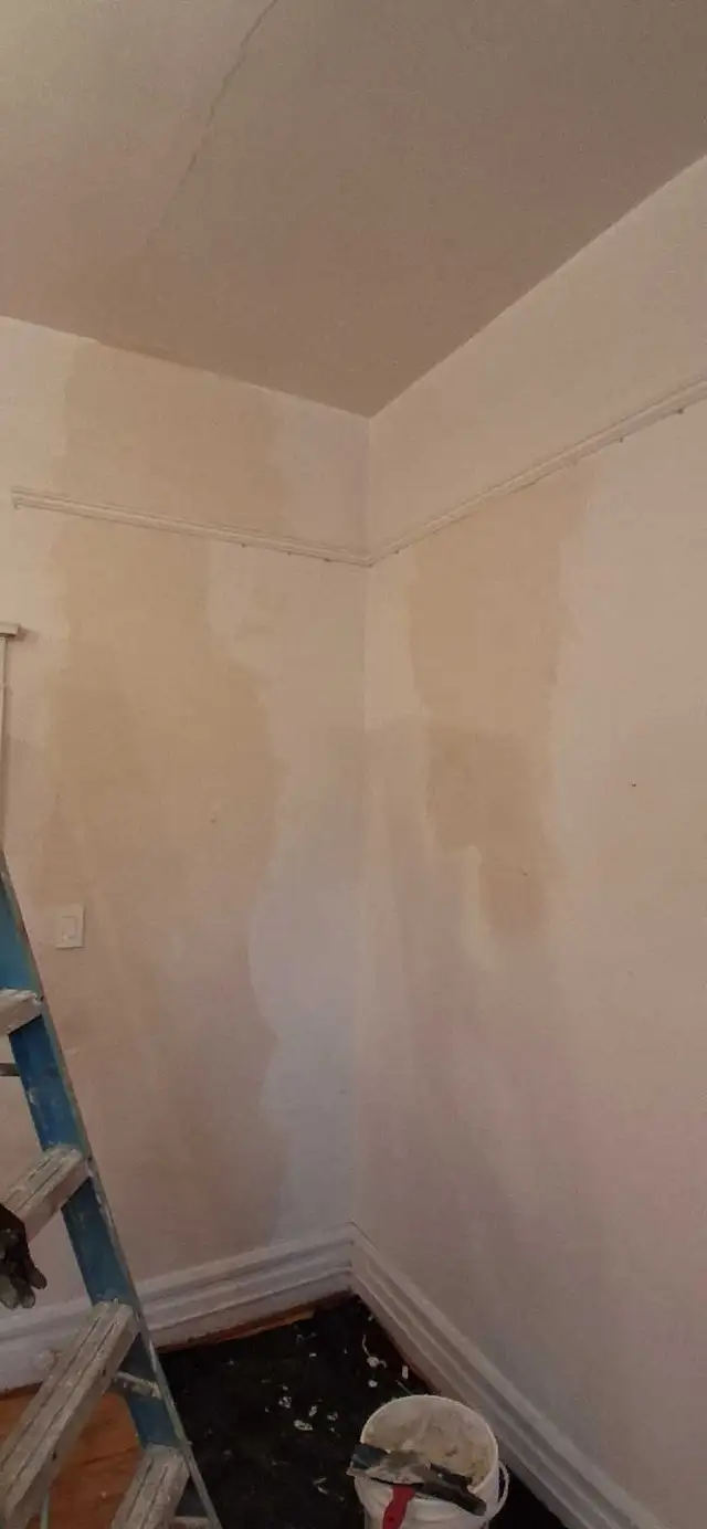 Property Maintenance573776289921781769