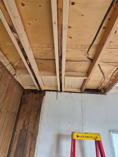 Professional Carpenter , View more