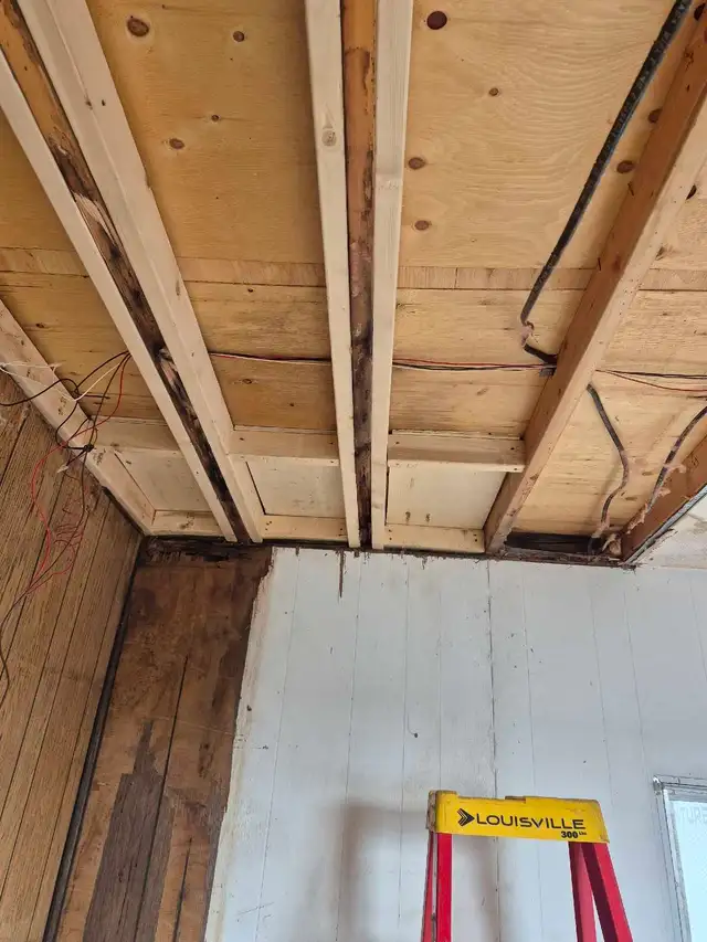 Professional Carpenter 414906536879073280