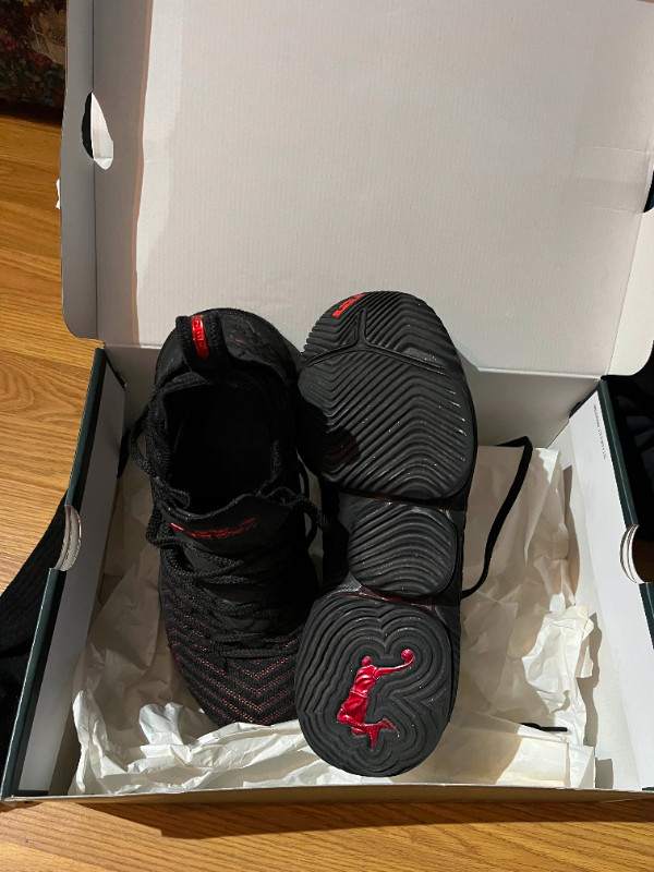 Soulier basket Lebron XVI dans Chaussures pour hommes  à Sherbrooke - Image 2