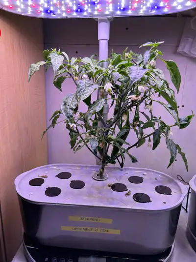 AeroGarden Bounty Elite, View more