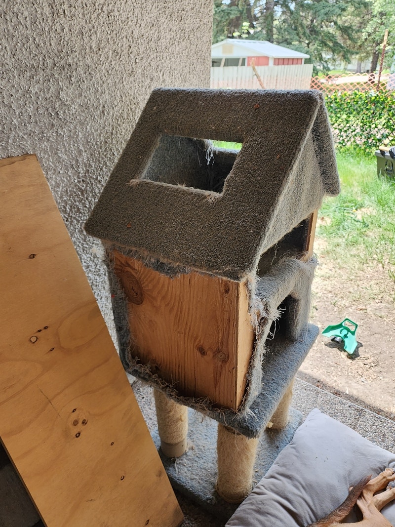 Cat house Free Stuff Calgary Kijiji