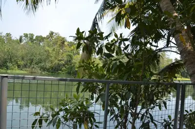 50 cent River touch Plot for sale near Indo American hospital near Vaikom. Ideal for a second home o...