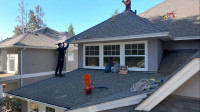 Expert Roof, Gutter, Window, Pressure washing 5% off first serv