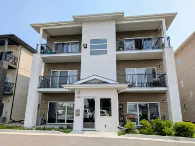 Apartment in rent